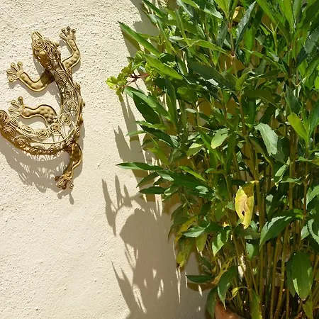 La Casa Del Teix Eslida